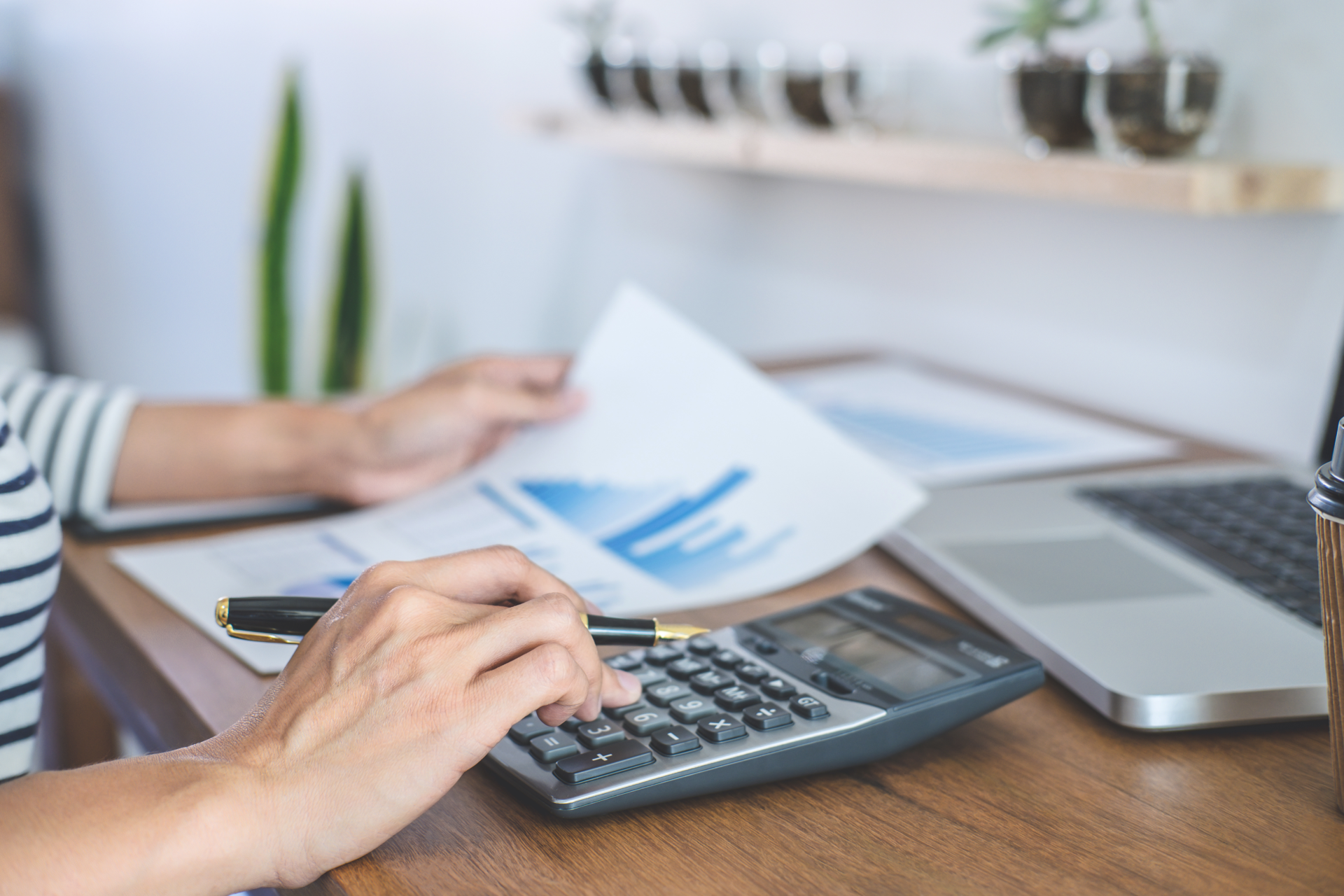 Adobe Stock 245220669